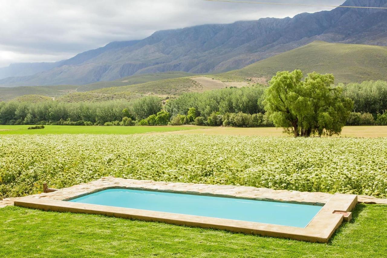 Bed and Breakfast Blue Lily Retreat à Matjiesrivier  Extérieur photo
