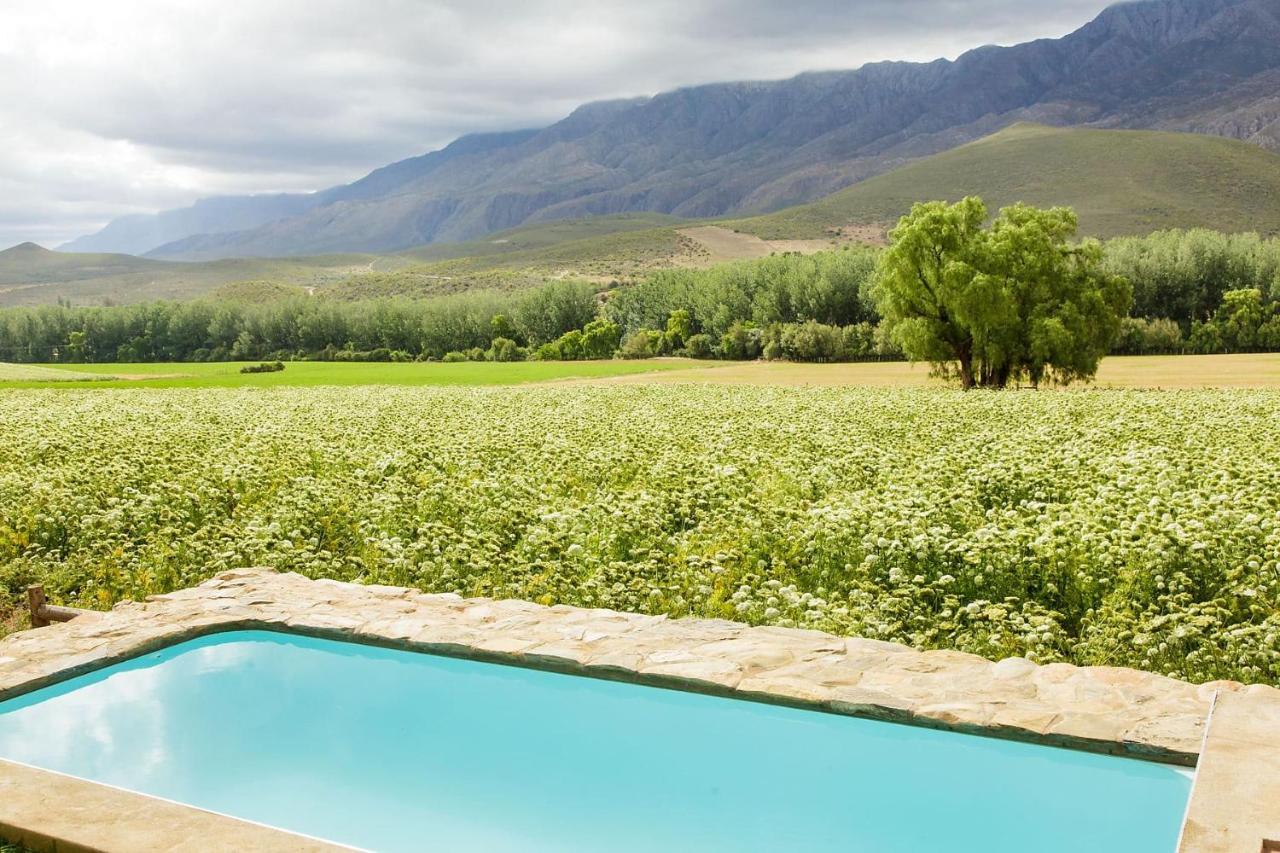 Bed and Breakfast Blue Lily Retreat à Matjiesrivier  Extérieur photo